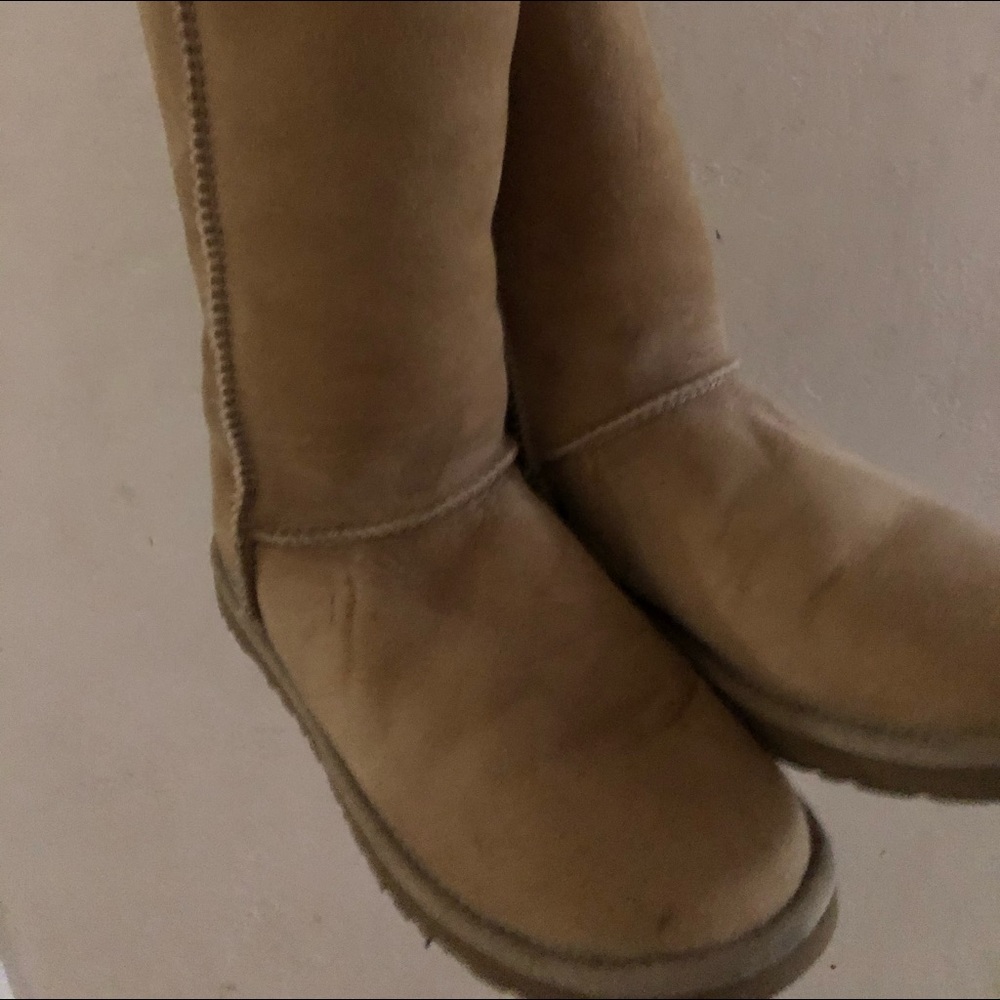 Ugg Slipper boots